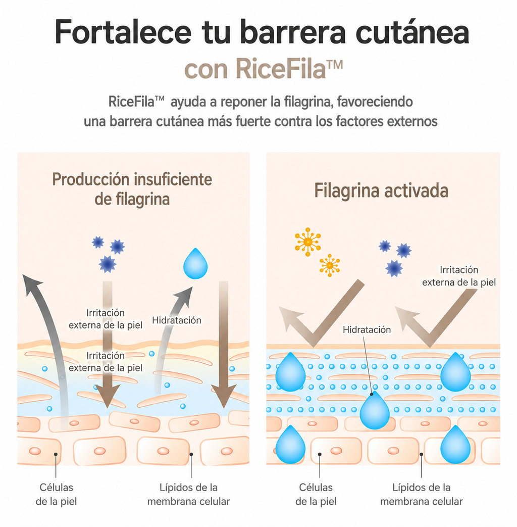 Tónico Facial Hayejin -Aceite de Arroz ✨